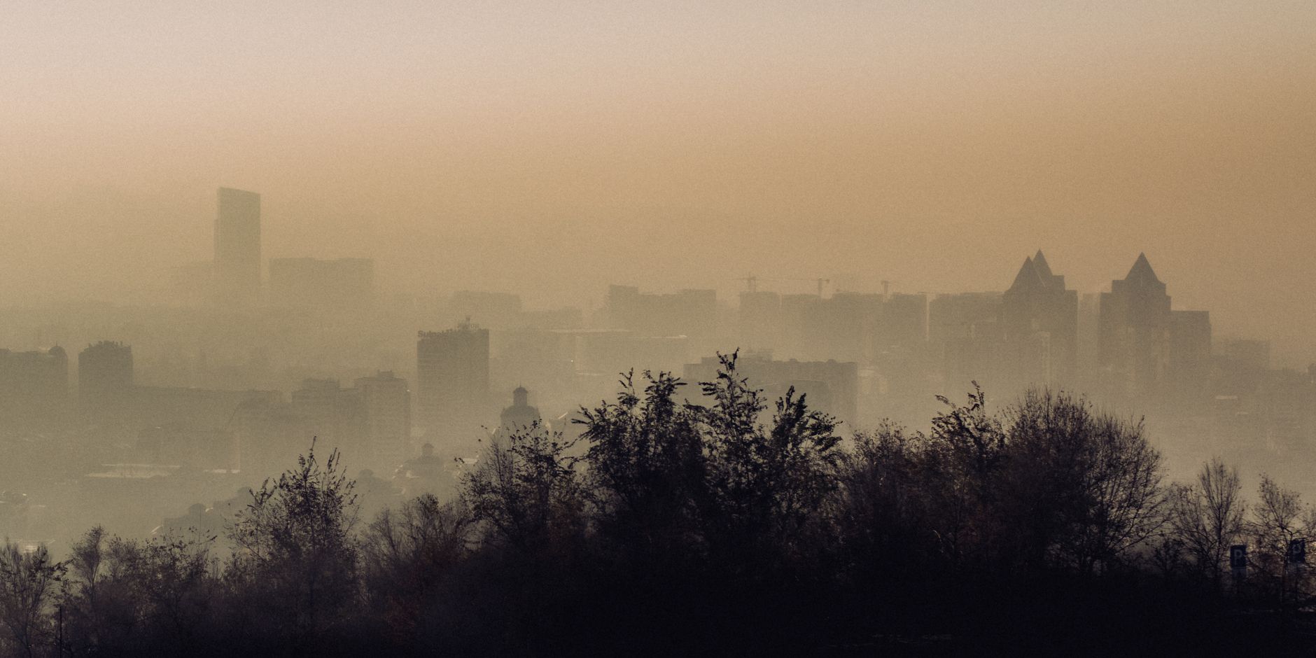 Air Pollution and Heart Health: How to Protect Yourself in Indian Cities — Dr. Nikhila Pachani