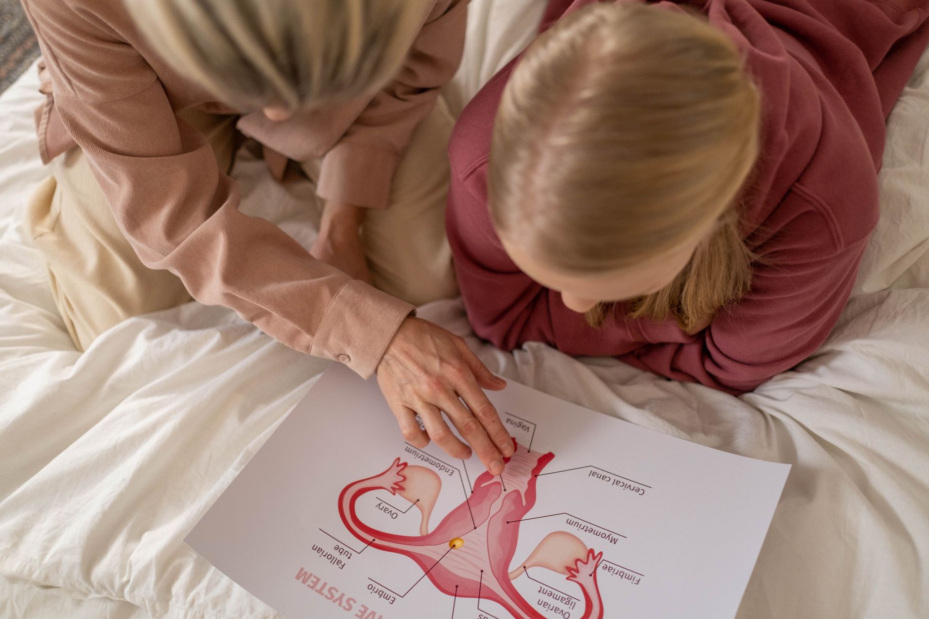 A simple, child-friendly educational illustration of the human heart showing its main chambers and valves