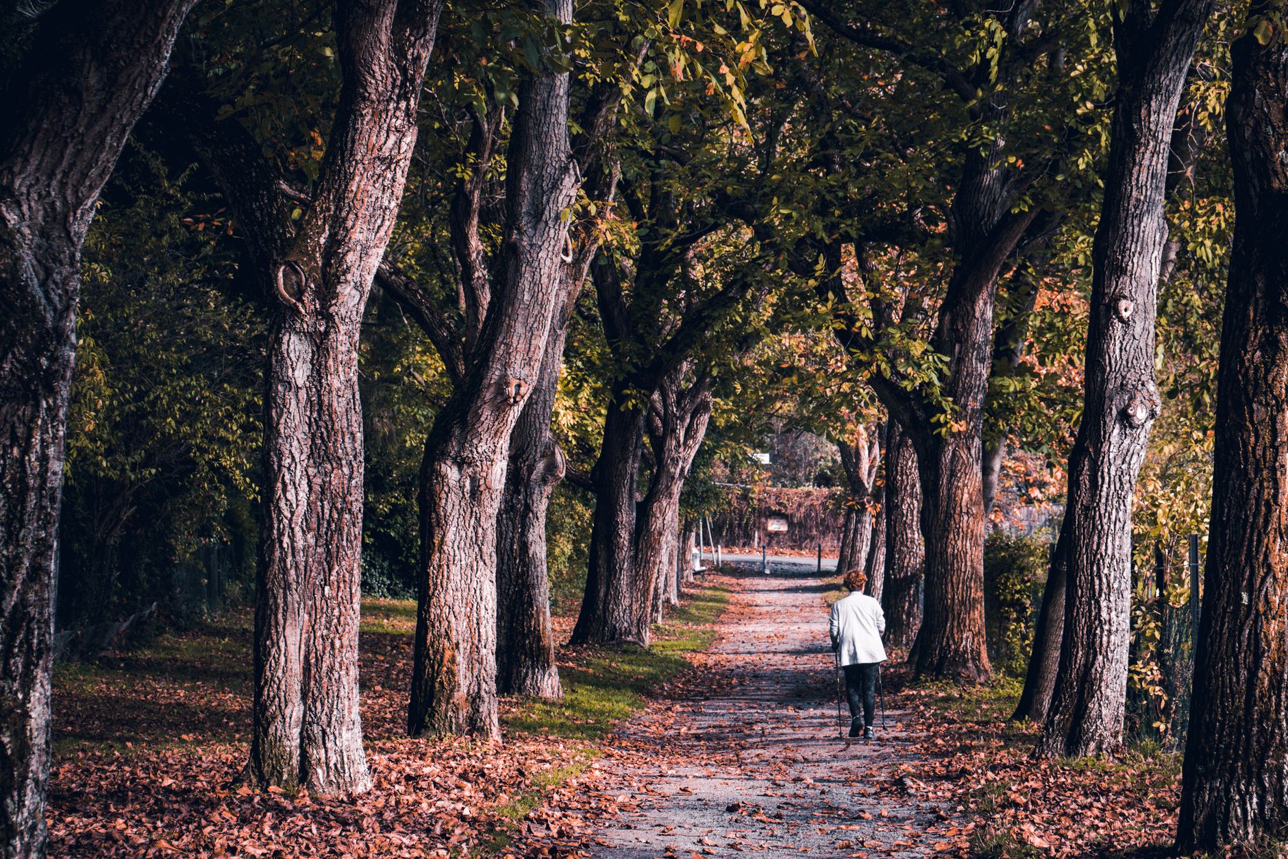A person taking a gentle walk in a park as part of cardiac rehabilitation
