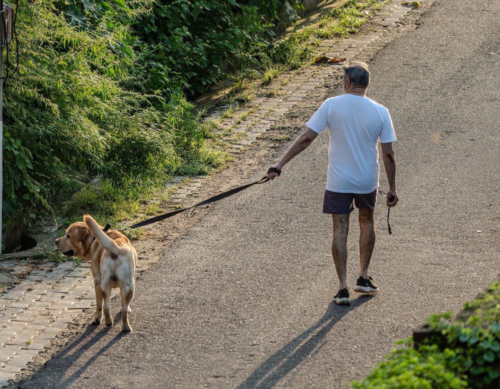 An older man doing light morning exercise as part of a heart-healthy lifestyle