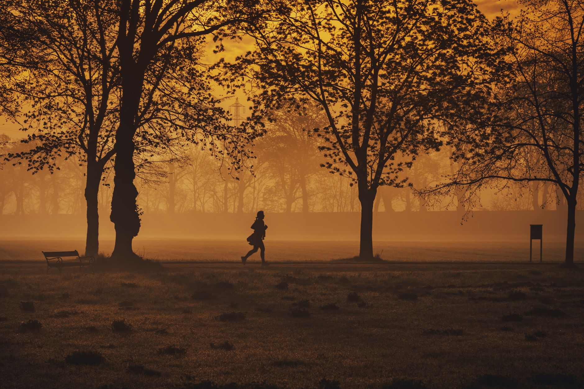 A person jogging in a park in the morning as part of a heart-healthy lifestyle