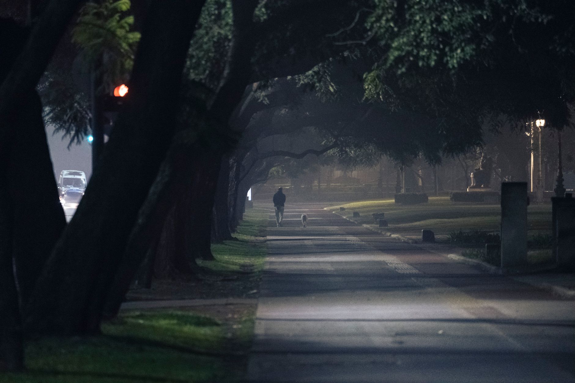 A person enjoying a relaxed evening walk in a park