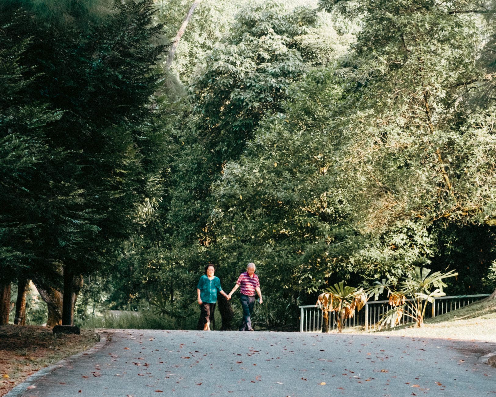A senior couple enjoying a gentle morning walk in a park