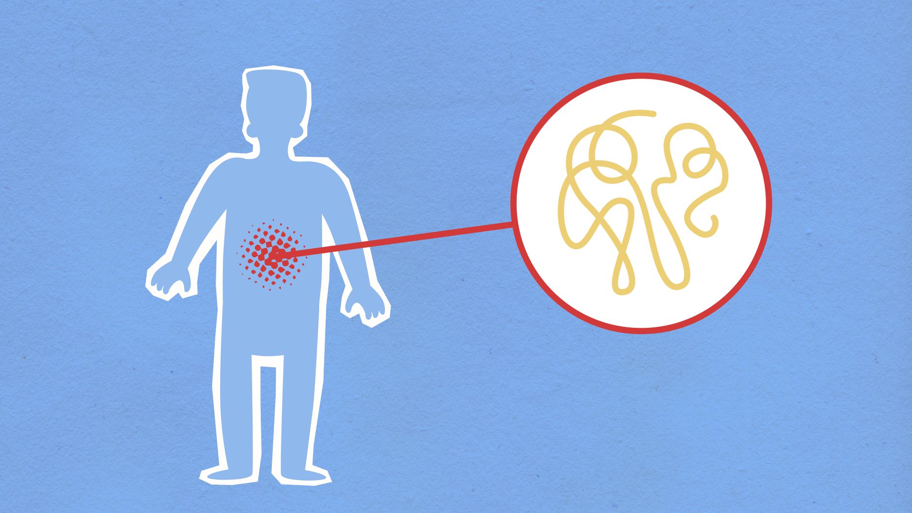 Illustration of a healthy human heart used in patient education
