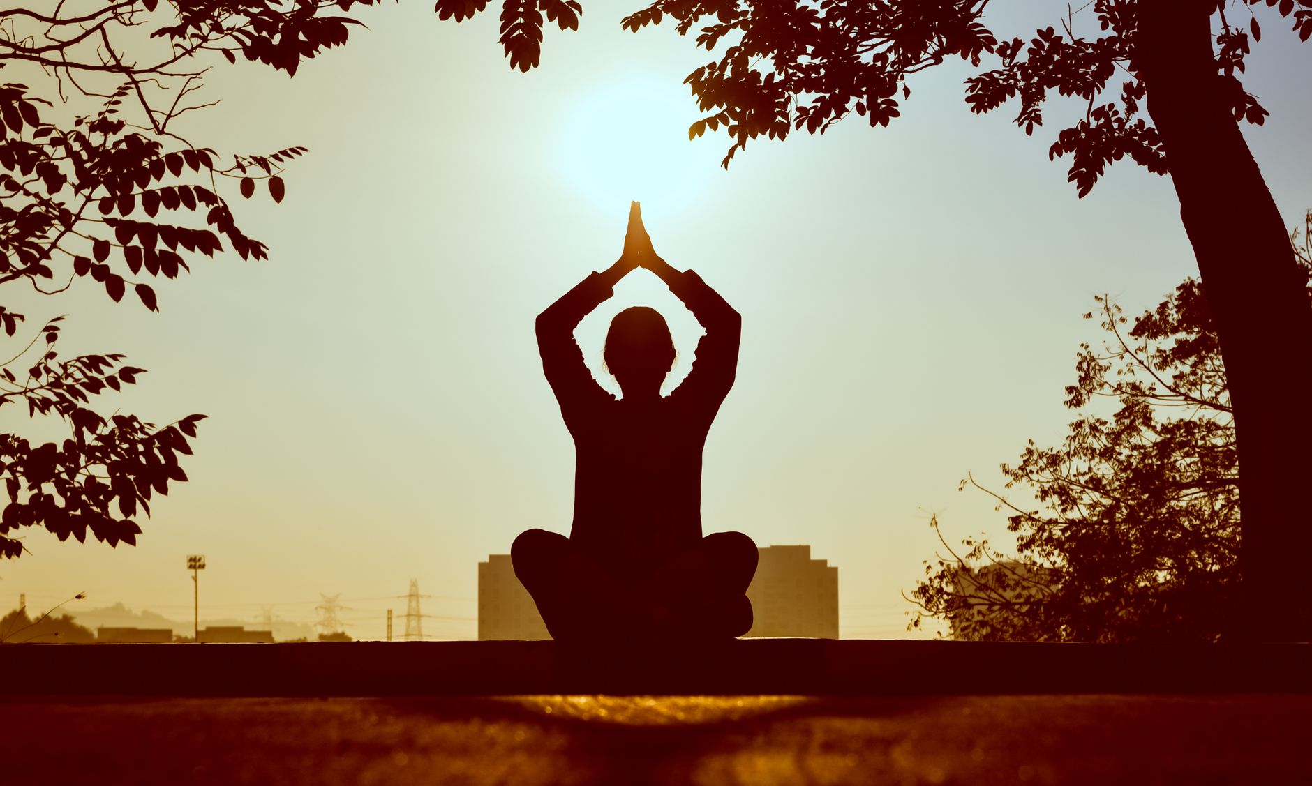 Stress and Heart Health: Breaking the Cycle — Dr. Nikhila Pachani