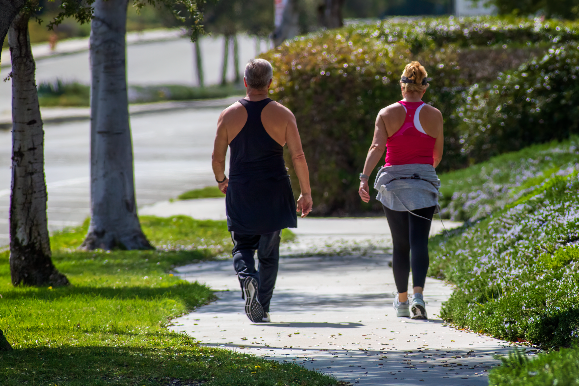 A healthy couple walking in a park during morning exercise